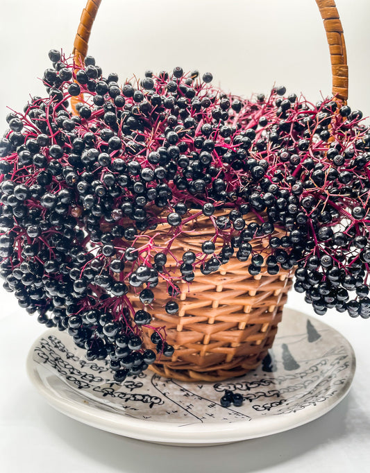 Dried Elderberries (Sambucus nigra) – USA Harvested, Whole Berries for Teas, Syrups, and Baking