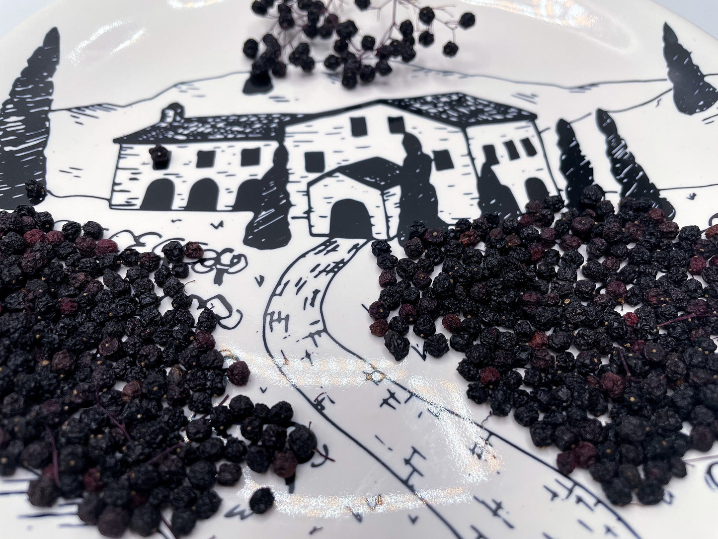 Elderberry | Sambucus nigra | Hand Picked Dry Berries