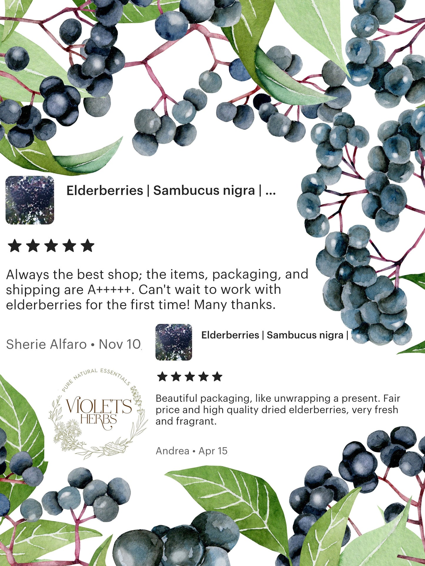 Elderberry | Sambucus nigra | Hand Picked Dry Berries